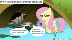 Size: 512x288 | Tagged: safe, edit, edited screencap, screencap, character:fluttershy, species:pegasus, species:pony, episode:dragonshy, g4, my little pony: friendship is magic, feeding, female, ferret, fish, imminent death, mare
