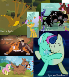 Size: 557x617 | Tagged: safe, edit, edited screencap, screencap, character:bon bon, character:cherry berry, character:chimera sisters, character:fluttershy, character:lyra heartstrings, character:ponet, character:rainbow dash, character:snails, character:snips, character:spike, character:sweetie drops, species:chimera, species:dog, species:pony, species:unicorn, episode:do princesses dream of magic sheep?, episode:feeling pinkie keen, episode:it's about time, episode:magic duel, episode:somepony to watch over me, episode:trade ya, g4, my little pony: friendship is magic, cerberus, cerberus (character), collar, colt, conjoined, conjoined by horn, conjoined twins, dog collar, female, four heads, fusion, hybrid, hydra, leash, lyrabon (fusion), male, mare, multiple heads, orthros, spiked collar, three heads, two heads, we have become one