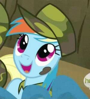 Size: 300x332 | Tagged: safe, edit, edited screencap, screencap, character:applejack, character:rainbow dash, species:earth pony, species:pegasus, species:pony, episode:dragon quest, g4, my little pony: friendship is magic, animated, camouflage, clothing, female, gif, hat, hub logo, image macro, mare, rainbow dash always dresses in style, solo focus, swag