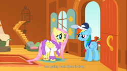 Size: 1366x768 | Tagged: safe, edit, edited screencap, screencap, character:fluttershy, character:rainbow dash, species:pegasus, species:pony, episode:hurricane fluttershy, g4, my little pony: friendship is magic, door, female, iraq, mare, wet mane, youtube caption, youtube link