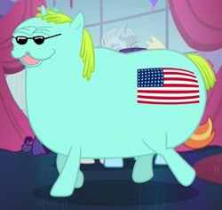 Size: 910x860 | Tagged: safe, edit, edited screencap, screencap, character:rarity, character:sassy saddles, character:whoa nelly, episode:canterlot boutique, g4, my little pony: friendship is magic, american, ebin may may, fat, flag, glasses, incidental pony, le american bear, meme, murica, quality, spurdo spärde, stereotype, united states