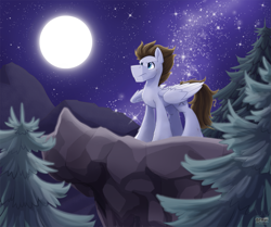 Size: 1279x1071 | Tagged: safe, artist:bcpony, oc, oc only, oc:core, species:pegasus, species:pony, cliff, commission, full moon, male, moon, night, solo, stars, tree