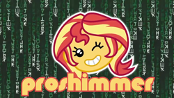 Size: 1920x1080 | Tagged: safe, edit, edited screencap, screencap, character:sunset shimmer, episode:game stream, g4, my little pony: equestria girls, my little pony:equestria girls, spoiler:eqg series (season 2), code, computer, cute, emoji, eyelashes, female, gamer sunset, happy, one eye closed, open mouth, ponies the anthology vii, projared, proshimmer, shimmerbetes, shimmercode, smiling, solo, text, text edit, the matrix, this didn't age well, wink, woman, written equestrian