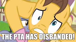 Size: 888x499 | Tagged: safe, edit, edited screencap, screencap, character:caramel, episode:fame and misfortune, g4, my little pony: friendship is magic, caption, dramamel, image macro, meme, text, the pta disbands, the simpsons