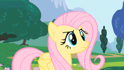 Size: 252x142 | Tagged: safe, edit, edited screencap, screencap, character:fluttershy, character:rainbow dash, species:pegasus, species:pony, episode:sonic rainboom, g4, my little pony: friendship is magic, animated, caption, flutteryay, gif, image macro, text, yay