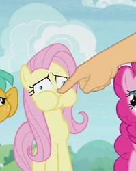 Size: 571x719 | Tagged: safe, edit, edited screencap, screencap, character:fluttershy, character:pinkie pie, character:snails, species:pony, episode:2-4-6 greaaat, boop, boop edit, cropped, finger, hand, puffy cheeks