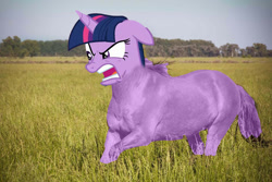 Size: 960x640 | Tagged: safe, edit, edited screencap, screencap, character:twilight sparkle, species:pony, episode:a trivial pursuit, g4, my little pony: friendship is magic, abomination, angry, engrish in the description, faec, god is dead, hoers, horse, op is on drugs, photo, shitposting, wat, what has science done