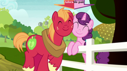 Size: 800x450 | Tagged: safe, edit, edited screencap, screencap, character:big mcintosh, character:sugar belle, ship:sugarmac, episode:marks for effort, g4, my little pony: friendship is magic, arrow, captain obvious, cute, cutie mark, female, fence, field, horse collar, macabetes, male, shipping, straight, sugarbetes, text, tree