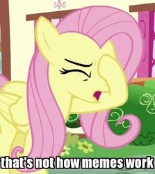 Size: 458x514 | Tagged: safe, edit, edited screencap, screencap, character:fluttershy, species:pony, episode:flutter brutter, g4, my little pony: friendship is magic, caption, cropped, facehoof, female, image macro, meme, reaction image, solo, text