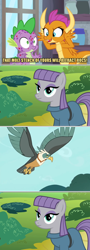 Size: 800x2213 | Tagged: safe, edit, edited screencap, screencap, character:maud pie, character:smolder, character:spike, species:bird, species:dragon, species:earth pony, species:pony, species:roc, episode:molt down, g4, my little pony: friendship is magic, caption, dragoness, female, image macro, mare, misspelling, molting, puberty, text
