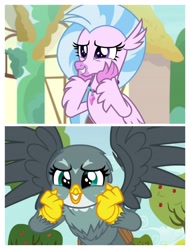 Size: 3106x4096 | Tagged: safe, edit, edited screencap, screencap, character:gabby, character:silverstream, species:griffon, species:hippogriff, episode:the fault in our cutie marks, episode:uprooted, g4, my little pony: friendship is magic, birb, cute, diastreamies, gabbybetes