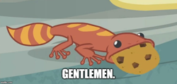 Size: 774x367 | Tagged: safe, edit, edited screencap, screencap, episode:she talks to angel, g4, my little pony: friendship is magic, caption, cookie, cropped, fire lizard, food, gecko, gentlemen, image macro, meme, snake treat, team fortress 2, text