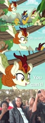 Size: 3413x9321 | Tagged: safe, edit, edited screencap, screencap, character:autumn blaze, character:spring glow, character:winter flame, species:kirin, species:pony, episode:sounds of silence, g4, my little pony: friendship is magic, background kirin, comic, female, meme, roasted, screencap comic, supa hot fire