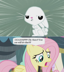 Size: 1366x1520 | Tagged: safe, edit, edited screencap, screencap, character:angel bunny, character:fluttershy, species:pegasus, species:pony, species:rabbit, episode:she talks to angel, g4, my little pony: friendship is magic, animal, body swap, comic, dialogue, duo, female, male, mare, screencap comic, speech bubble, stare, the stare