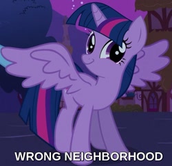 Size: 587x569 | Tagged: safe, edit, edited screencap, screencap, character:twilight sparkle, character:twilight sparkle (alicorn), species:alicorn, species:pony, episode:magical mystery cure, g4, my little pony: friendship is magic, caption, cropped, faec, female, image macro, mare, smiling, smirk, solo, spread wings, text, twiface, wings, wrong neighborhood