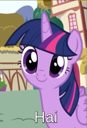 Size: 393x576 | Tagged: safe, edit, edited screencap, screencap, character:twilight sparkle, character:twilight sparkle (alicorn), species:alicorn, species:pony, episode:pinkie pride, g4, my little pony: friendship is magic, bronybait, c:, caption, cropped, cute, faec, female, hai, image macro, intentional spelling error, looking at you, mare, smiling, solo, text, twiabetes