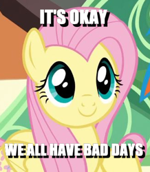 Size: 328x377 | Tagged: safe, edit, edited screencap, screencap, character:fluttershy, character:rainbow dash, episode:trade ya, g4, my little pony: friendship is magic, caption, cropped, cute, image macro, offscreen character, positive ponies, shyabetes, smiling, solo focus, text, train
