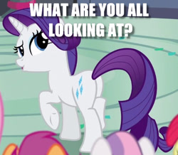 Size: 515x450 | Tagged: safe, edit, edited screencap, screencap, character:apple bloom, character:rarity, character:scootaloo, character:sweetie belle, species:pegasus, species:pony, episode:newbie dash, g4, my little pony: friendship is magic, butt, caption, cropped, cutie mark crusaders, female, image macro, mare, plot, question, raised eyebrow, rearity, solo focus, text