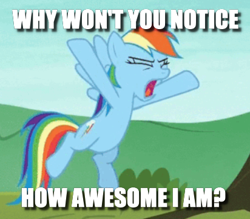 Size: 412x361 | Tagged: safe, edit, edited screencap, screencap, character:rainbow dash, episode:non-compete clause, g4, my little pony: friendship is magic, caption, cropped, female, image macro, narcissism, solo, text, yelling