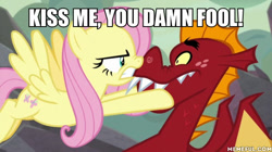 Size: 600x337 | Tagged: safe, edit, edited screencap, screencap, character:fluttershy, character:garble, species:pegasus, species:pony, episode:sweet and smoky, g4, my little pony: friendship is magic, boop, caption, female, fluttertsun, garbleshy, image macro, kiss me, male, mare, nose to nose, nose wrinkle, noseboop, shipping, straight, text, tsundere