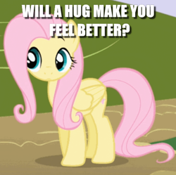 Size: 496x495 | Tagged: safe, edit, edited screencap, screencap, character:fluttershy, episode:friendship is magic, g4, my little pony: friendship is magic, bronybait, caption, cropped, cute, feel better, female, hug, image macro, question, shyabetes, solo, text