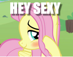 Size: 1365x1071 | Tagged: safe, edit, edited screencap, screencap, character:fluttershy, episode:she talks to angel, g4, my little pony: friendship is magic, blushing, caption, cropped, cute, female, flirty, image macro, shy, shyabetes, solo, text