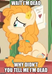 Size: 500x711 | Tagged: safe, edit, edited screencap, screencap, character:pear butter, species:pony, episode:the perfect pear, g4, my little pony: friendship is magic, caption, cropped, crying, female, image macro, solo, star vs the forces of evil, text