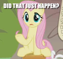 Size: 718x671 | Tagged: safe, edit, edited screencap, screencap, character:angel bunny, character:fluttershy, episode:she talks to angel, g4, my little pony: friendship is magic, caption, cropped, image macro, question, solo focus, text