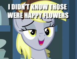 Size: 877x680 | Tagged: safe, edit, edited screencap, screencap, character:derpy hooves, episode:best gift ever, g4, my little pony: friendship is magic, caption, cropped, female, image macro, implied drug use, implied marijuana, lidded eyes, smiling, solo, text