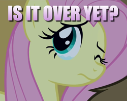 Size: 604x478 | Tagged: safe, edit, edited screencap, screencap, character:fluttershy, character:harry, episode:28 pranks later, g4, my little pony: friendship is magic, caption, crying, cute, image macro, question, sad, sadorable, shyabetes, text