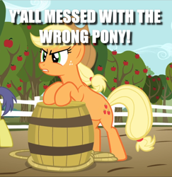 Size: 914x939 | Tagged: safe, edit, edited screencap, screencap, character:applejack, character:comet tail, episode:the super speedy cider squeezy 6000, g4, my little pony: friendship is magic, barrel, caption, cropped, image macro, solo focus, text, y'all