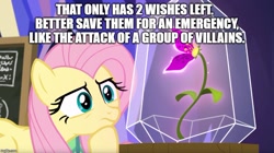 Size: 891x499 | Tagged: safe, edit, edited screencap, screencap, character:fluttershy, episode:growing up is hard to do, g4, my little pony: friendship is magic, enchanted, female, flower, glass case, magic, meme, pondering, solo, text, wishing flower