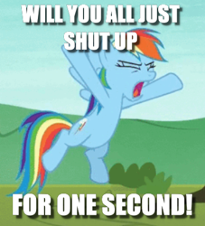Size: 368x406 | Tagged: safe, edit, edited screencap, screencap, character:rainbow dash, episode:non-compete clause, g4, my little pony: friendship is magic, caption, cropped, female, image macro, shut up, solo, text, yelling