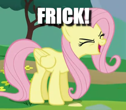 Size: 324x285 | Tagged: safe, edit, edited screencap, screencap, character:fluttershy, species:pegasus, species:pony, episode:sonic rainboom, g4, my little pony: friendship is magic, caption, cropped, eyes closed, female, flutteryay, frick, image macro, impact font, mare, solo, text, yay