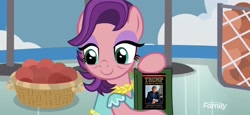 Size: 2899x1330 | Tagged: safe, edit, edited screencap, screencap, character:spoiled rich, species:earth pony, species:pony, episode:a horse shoe-in, g4, my little pony: friendship is magic, bits, book, donald trump, school of friendship, the art of the deal