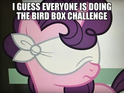 Size: 800x600 | Tagged: safe, edit, edited screencap, screencap, character:sugar belle, species:pony, species:unicorn, episode:the big mac question, g4, my little pony: friendship is magic, bird box challenge, blindfold, cropped, female, meme, solo, text