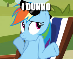 Size: 1128x915 | Tagged: safe, edit, edited screencap, screencap, character:rainbow dash, episode:too many pinkie pies, g4, my little pony: friendship is magic, caption, cropped, female, image macro, shrug, solo, sunglasses, text