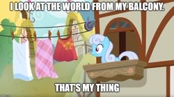 Size: 888x499 | Tagged: safe, edit, edited screencap, screencap, character:linky, character:shoeshine, episode:the big mac question, g4, my little pony: friendship is magic, clothes line, meme, shoeshine's window, solo, text