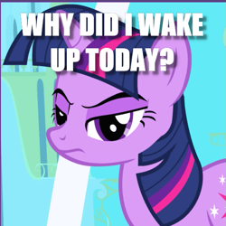 Size: 501x501 | Tagged: safe, edit, edited screencap, screencap, character:twilight sparkle, character:twilight sparkle (unicorn), species:pony, species:unicorn, episode:friendship is magic, g4, my little pony: friendship is magic, caption, cropped, eyeshadow, female, frown, glare, grumpy, grumpy twilight, image macro, lidded eyes, looking at you, makeup, mare, solo, text, tired, twilight's canterlot home