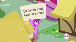 Size: 842x468 | Tagged: safe, edit, edited screencap, screencap, character:berry punch, character:berryshine, species:pony, episode:testing testing 1-2-3, g4, my little pony: friendship is magic, sign