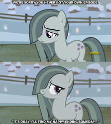 Size: 1280x1436 | Tagged: safe, edit, edited screencap, screencap, character:marble pie, species:pony, episode:hearthbreakers, g4, my little pony: friendship is magic, answer, bittersweet, caption, hope, message, response, season 10