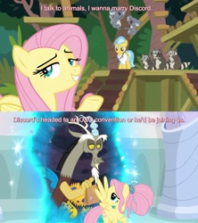 Size: 1920x2160 | Tagged: safe, edit, edited screencap, screencap, character:angel bunny, character:discord, character:fluttershy, episode:she talks to angel, episode:the last problem, g4, my little pony: friendship is magic, body swap, female, implied discoshy, implied shipping, implied straight, koala, male, older, older fluttershy, paper bag, portal, raccoon, shipping fuel, smoky, smoky jr., softpad, subtitles