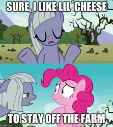 Size: 500x562 | Tagged: safe, edit, edited screencap, screencap, character:limestone pie, character:pinkie pie, species:earth pony, species:pony, episode:the last problem, episode:the maud couple, g4, my little pony: friendship is magic, 2 panel comic, caption, comic, image macro, implied li'l cheese, screencap comic, text