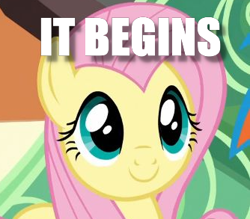 Size: 334x293 | Tagged: safe, edit, edited screencap, screencap, character:fluttershy, episode:trade ya, g4, my little pony: friendship is magic, caption, cropped, female, image macro, it begins, solo, text, train