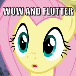 Size: 697x699 | Tagged: safe, edit, edited screencap, screencap, character:fluttershy, episode:fake it 'til you make it, caption, cropped, female, image macro, pun, solo, text, visual gag, wow