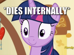 Size: 377x279 | Tagged: safe, edit, edited screencap, screencap, character:twilight sparkle, character:twilight sparkle (alicorn), species:alicorn, species:pony, episode:a flurry of emotions, g4, my little pony: friendship is magic, caption, cropped, female, image macro, meme, solo, text, x internally