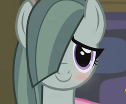 Size: 416x342 | Tagged: safe, edit, edited screencap, screencap, character:marble pie, species:earth pony, species:pony, episode:hearthbreakers, g4, my little pony: friendship is magic, blushing, cropped, cute, female, marblebetes, mare, solo