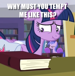 Size: 704x710 | Tagged: safe, edit, edited screencap, screencap, character:twilight sparkle, character:twilight sparkle (alicorn), species:alicorn, species:pony, episode:the point of no return, g4, my little pony: friendship is magic, book, bookshelf, caption, cropped, eyes on the prize, image macro, library, saddle bag, scrunchy face, temptation, text, that pony sure does love books