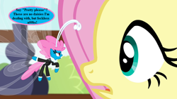 Size: 800x450 | Tagged: safe, edit, edited screencap, screencap, character:fluttershy, character:seabreeze, species:breezies, episode:it ain't easy being breezies, episode:the princess promenade, g3, g4, my little pony: friendship is magic, dialogue, fluttershy's cottage, g3 to g4, generation leap, speech, speech bubble