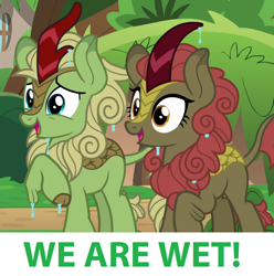 Size: 1208x1216 | Tagged: safe, edit, edited screencap, screencap, character:forest fall, character:maple brown, species:kirin, episode:sounds of silence, g4, my little pony: friendship is magic, captain obvious, cropped, cute, duo, wet